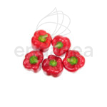 Pimiento Morrón Planta 6 unidades