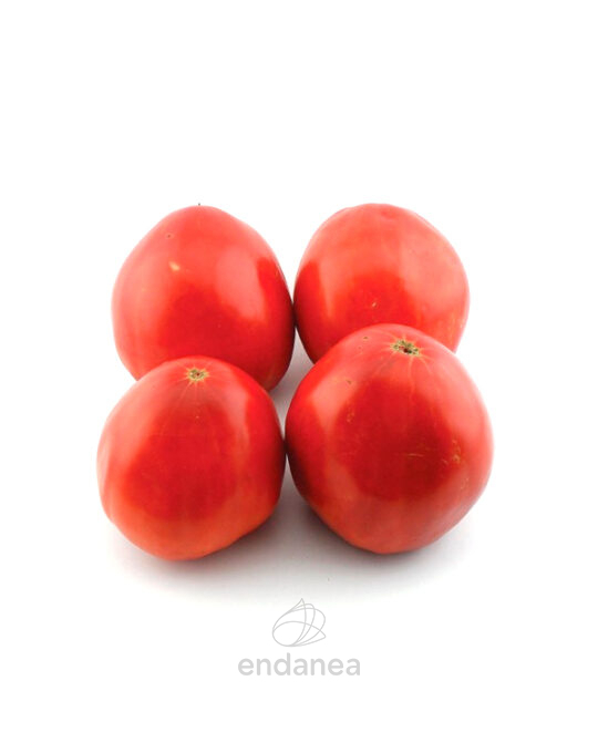 tomate-corazon-de-toro-planta-6-unidades-fruta