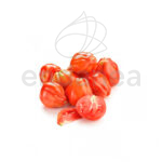 Tomate Cour di Bue Planta 6 unidades