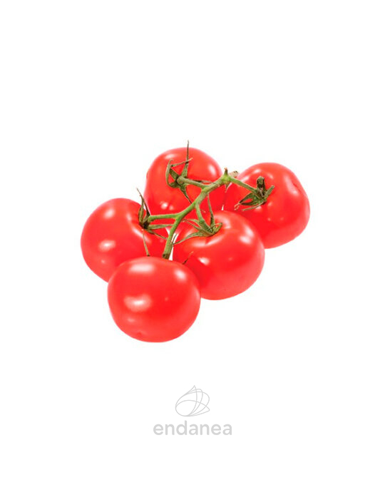 tomate-gordo-rama-planta-12-unidades-fruto