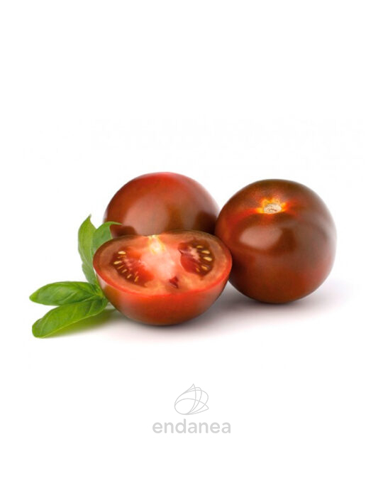 tomate-moreno-injertado-planta-4-unidades-fruto