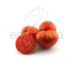 Tomate Rojo Alhambra Planta 6 unidades