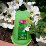 Aquaplant Complet FLOWER Riego de Vacaciones