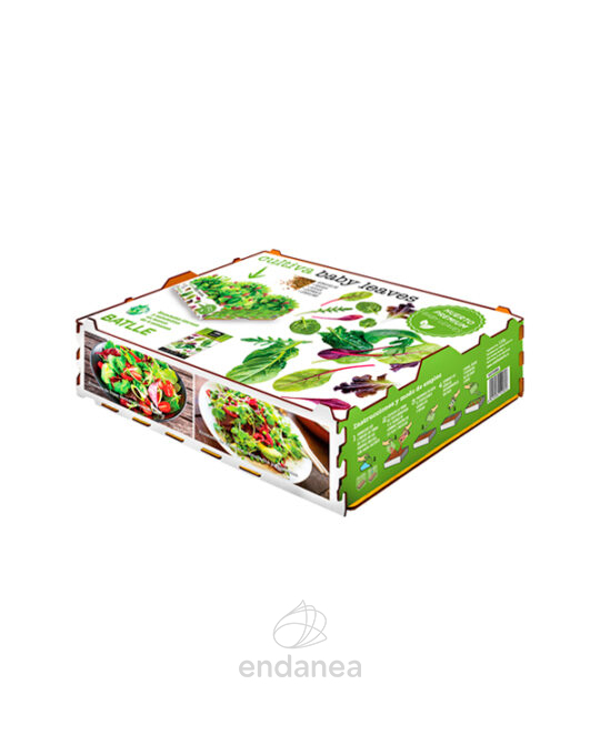huerto-premium-kit-baby-leaves-batlle