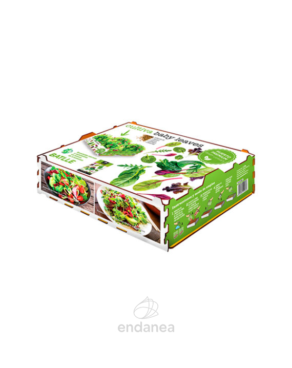 Huerto Premium Kit Baby Leaves