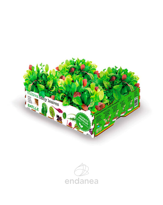 huerto-premium-kit-baby-leaves-batlle-ensaladas