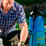 Pulverizador Berry MATABI Huerto