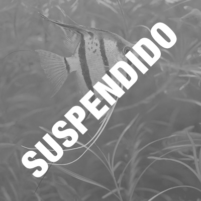 Curso Iniciación Acuarios Agua Dulce SUSPENDIDO