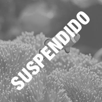 Curso Iniciación Acuarios Agua Salada SUSPENDIDO