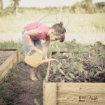 Huerto Urbano Box 30 de Hortalia