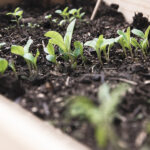 Huerto Urbano Gardenbrico L80 Hortalia
