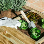 Huerto Urbano Linenature Catral