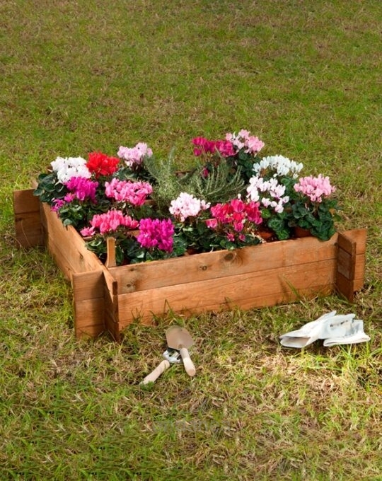 huerto-urbano-seed-planter-100-catral-cultiva-verduras