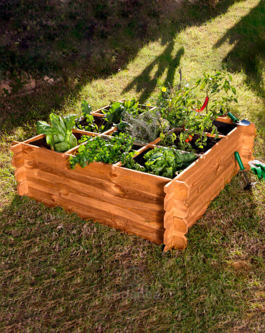 huerto-urbano-seed-planter-120-catral-cultiva-hortalizas