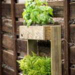 Huerto Urbano Vertical 2B Pared Stand Line Wall de Hortalia
