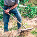 Mango Rastrillo Jardín Madera 29 Grueso 120 Largo