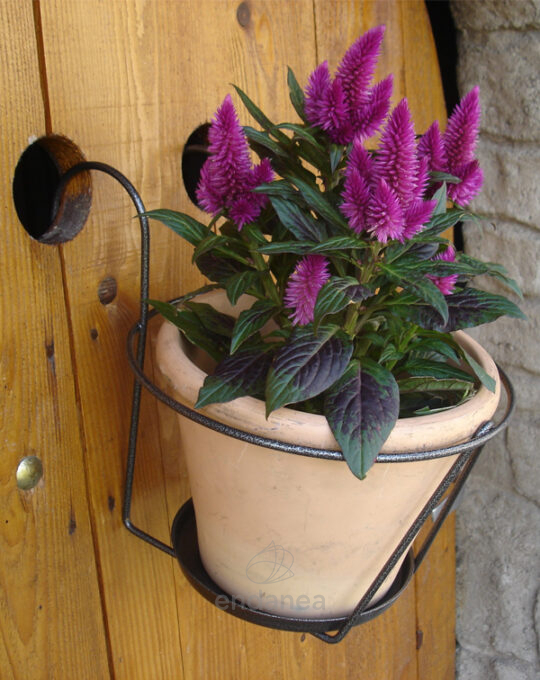 soporte-maceta-antracita-balcon-puerta