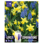 Bulbo Lovely Combinations Narciso-Muscaria