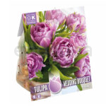 Bulbo Tulipán Wedding Bouquet