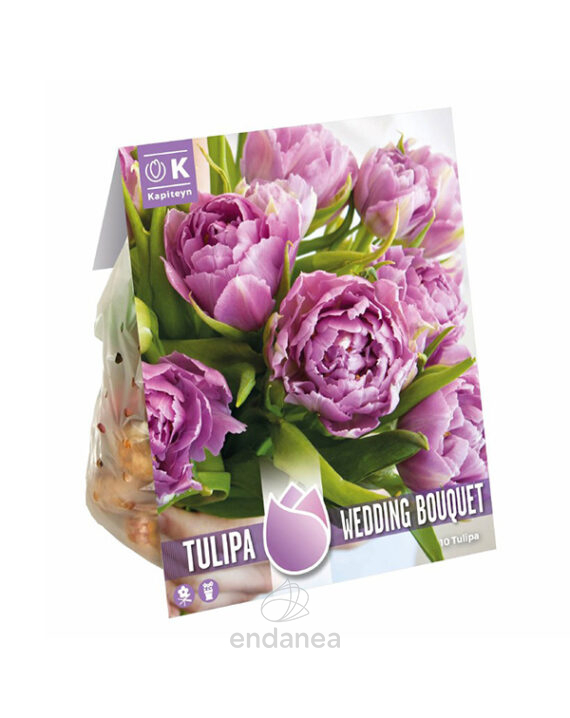 Bulbo Tulipán Wedding Bouquet
