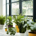 Maceta Elho b.for Original Round Mini Ochre