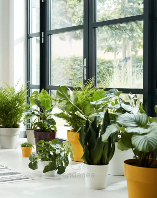 maceta-elho-b-for-original-round-mini-ochre-interior