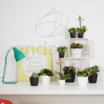Maceta Elho Brussels Round Mini Living Black Decoración