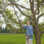 Tijera de Pértiga Combisystem Gardena