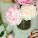 Tijera Florista 17 Stocker
