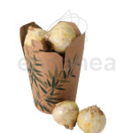 Bulbos a Granel Envase Grande