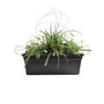 Jardinera con Plantas 40cm Antracita Cyclamen + Pensamiento