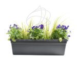 Jardinera con Plantas 50cm Antracita Viola + Carex