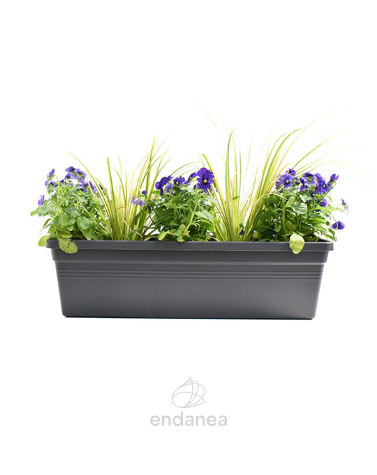 jardinera-con-plantas-50cm-antra-violas-pensamientos