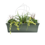 Jardinera con Plantas 50cm Verde Cyclamen + Cinta + Lysimachia