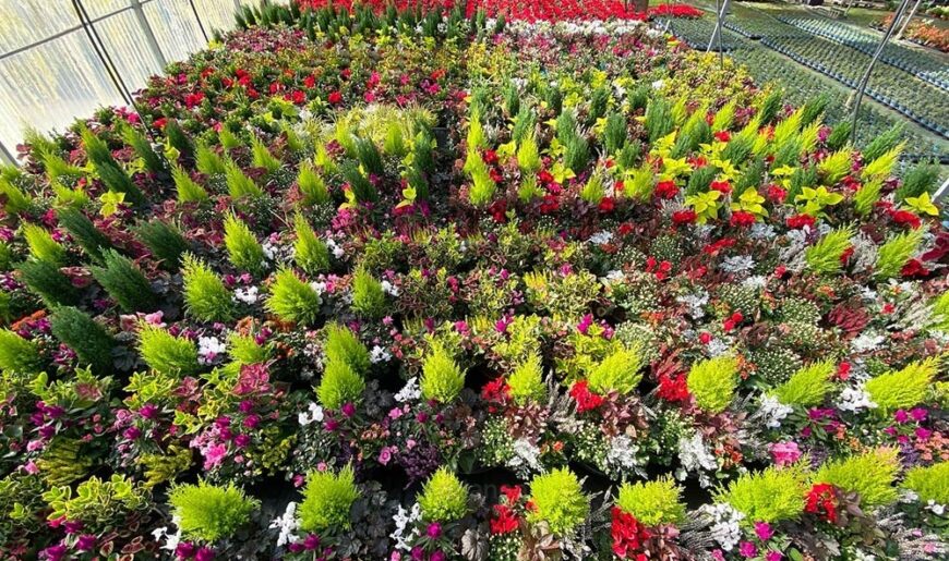 todos-los-santos-2021-endanea-garden-08