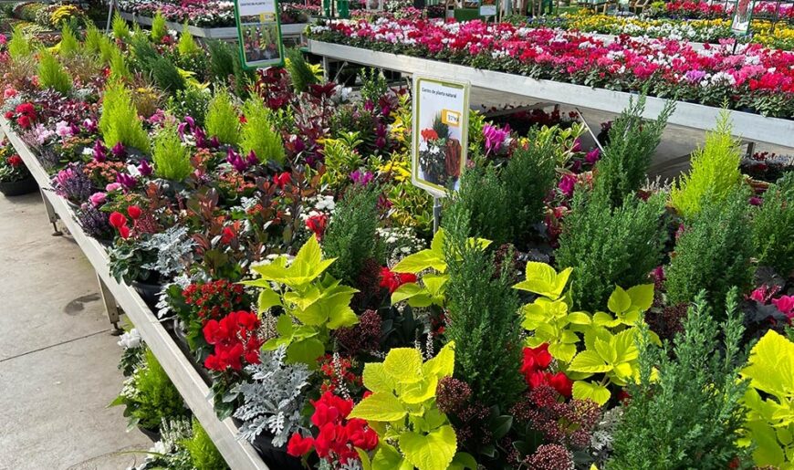 todos-los-santos-2021-endanea-garden-09