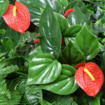 Jardín Vertical Artificial TROPICAL de Faura 100x100cm Anthurium