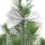 Pinus Pinea en Maceta Blanca Lazo Navidad