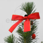 Pinus Pinea en Maceta Roja Lazo Navidad