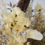 Flores Secas Tonos Claros en Bote Vintage
