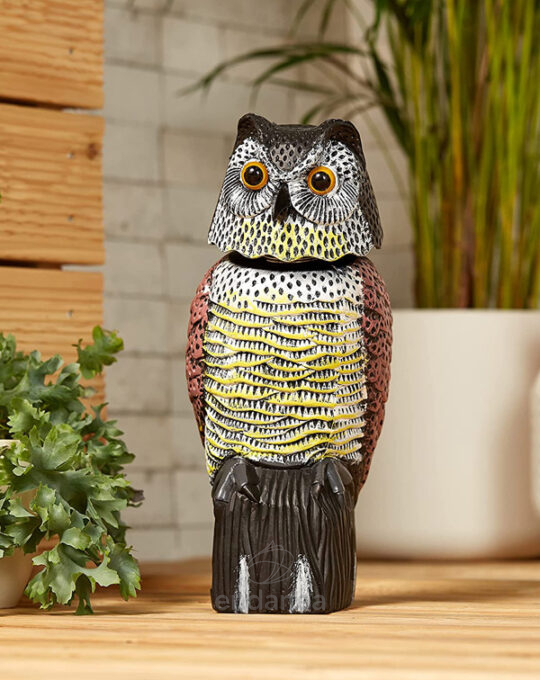 buho-espantapajaros-stocker-interior