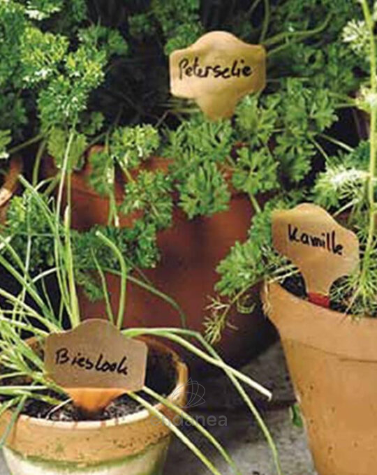 etiquetas-metalicas-curvadas-en-pincho-biotop-plantas