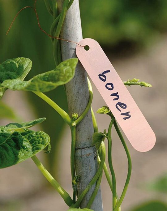etiquetas-para-colgar-biotop-10cm-huerto