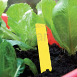 Etiquetas PVC Amarillas Biotop Huerto