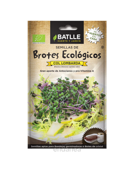 semillas-de-brotes-ecologicos-col-lombarda-batlle-sobre