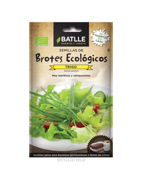Semillas de Brotes Ecológicos Trigo de Batlle