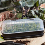 Tapa Invernadero Green Basics Grow House de Elho Long