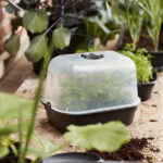 Tapa Invernadero Green Basics Grow House de Elho Small