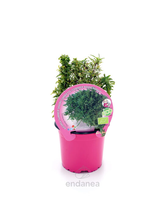 ajedrea-eco-m-105mm-fitoralia