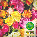 Fertilizante Rosas y Flores Azet de Neudorff
